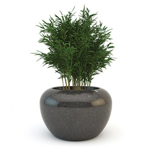 Planets Luna Planter by Bellitalia