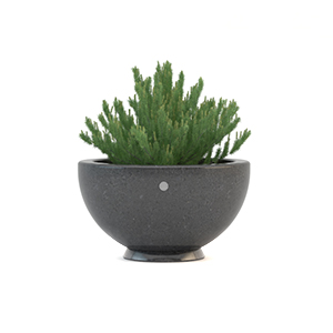 Primavera Planter by Bellitalia