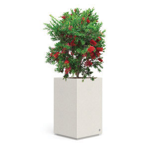 Alone Tall Planter by Bellitalia