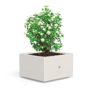 Kubb F Planter by Bellitalia