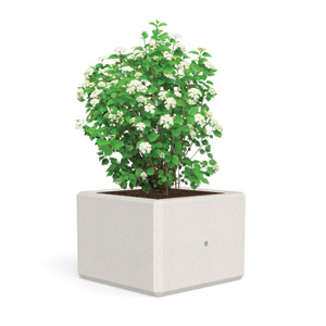 Berry Planter by Bellitalia